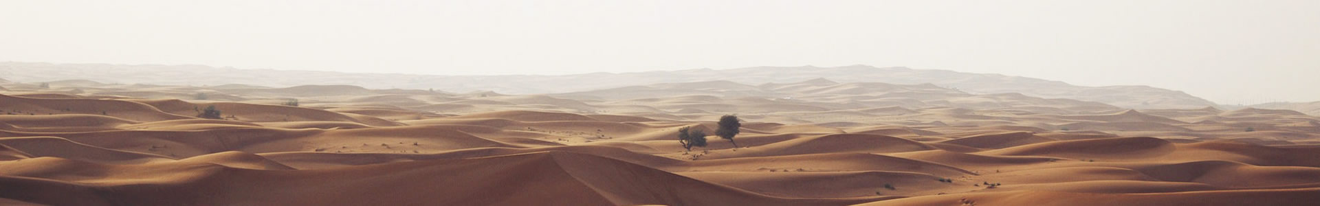 ʮԶƼ޹˾